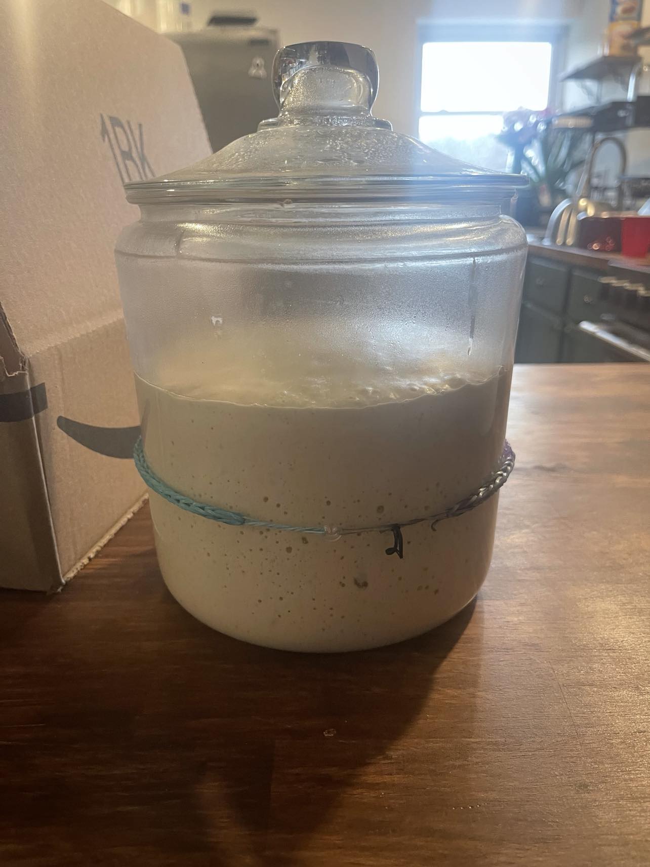 Our Sourdough Starter