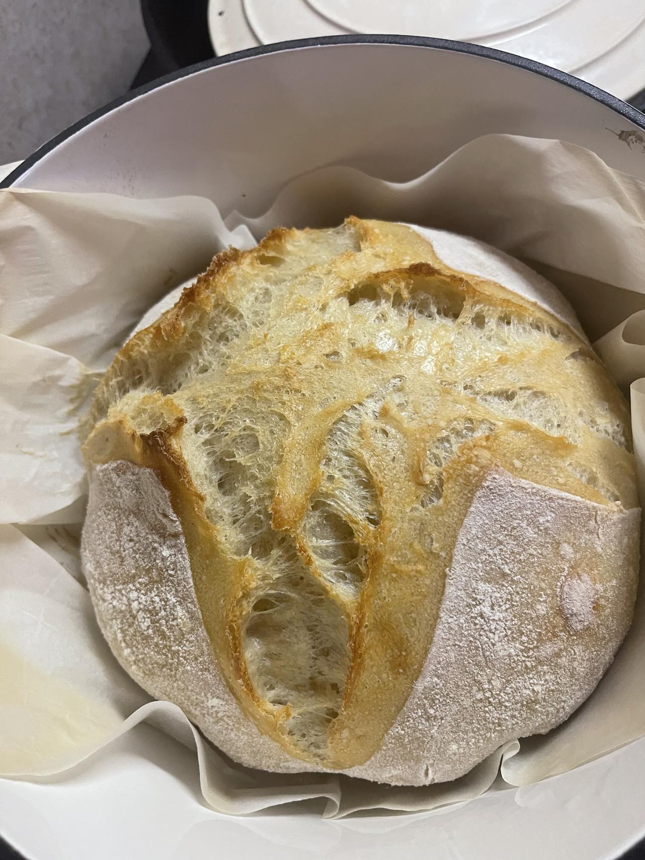 Sourdough Original Round