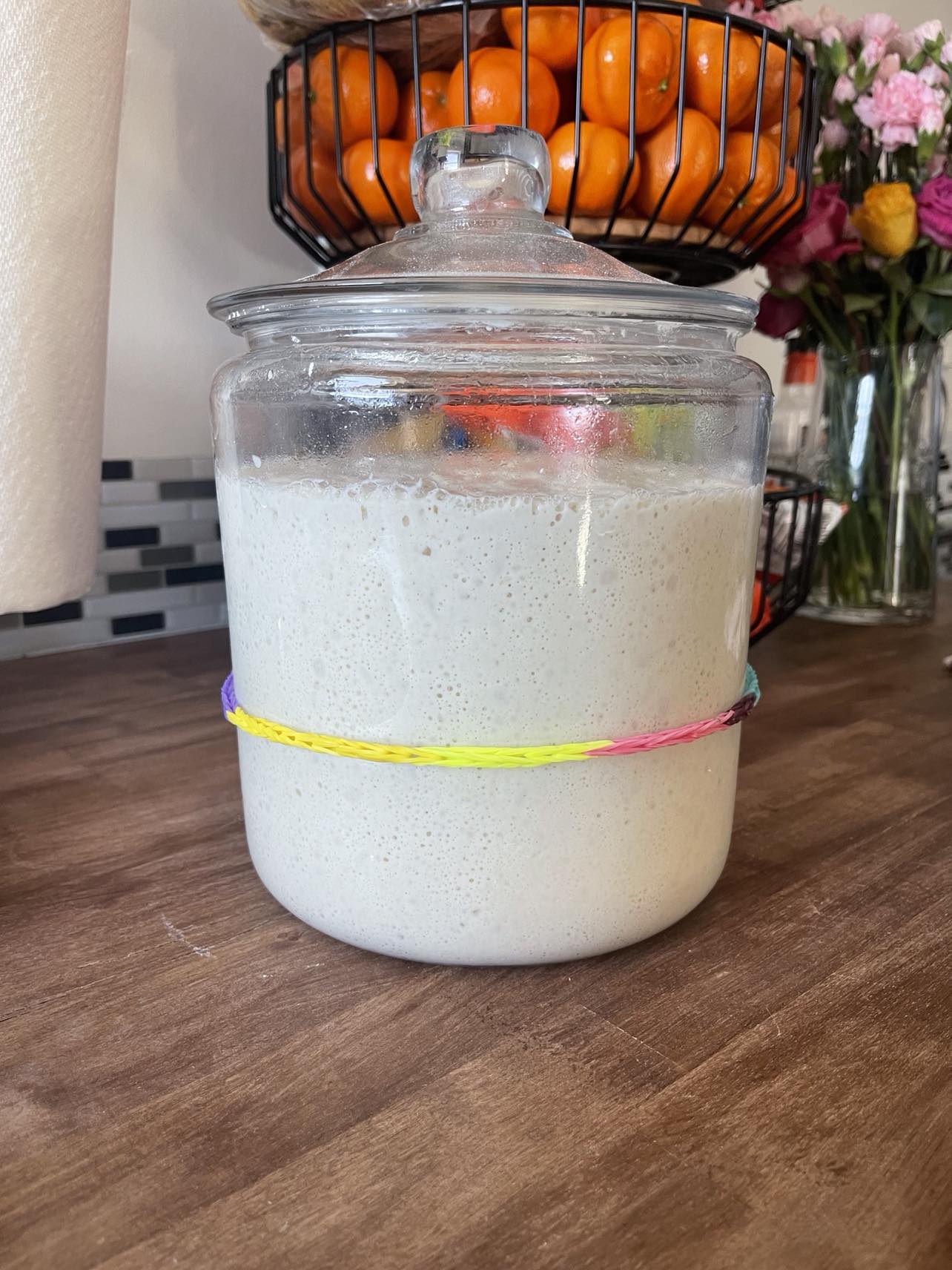 Our Sourdough Starter